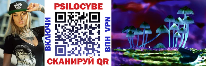 Галлюциногенные грибы Psilocybe  Тюкалинск 
